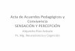 Modelo Proyecto IFA Sensacion y Percepcion