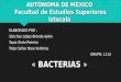 Bacterias (1)