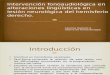Intervención Fonoaudiológica en Alteraciones Lingüísticas en Lesión Neurológica RESEUMEN PAPPER