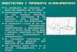 arquitectura y Topografia Alveolodentaria