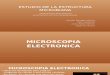 Microscopia Electronica 1