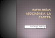 Patologías Asociadas a La Cadera