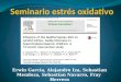 Estres Oxidativo, Dieta Mediterranea e Intima media Carotidea