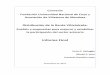 Distribución de la Renta Vitivinícola: Análisis y propuestas para mejorar y estabilizar la participación del sector primario