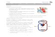 Sistema Circulatorio Generalidades