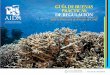 Guia de Buenas Practicas de Regulacion Para La Proteccion de Arrecifes de Coral (1)