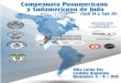 Invitacion Campeonato Panamericano y Sudamericano Sub13 y Sub15 Carlos Paz Argentina