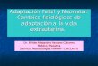 Adaptación Fetal y Neonatal,II