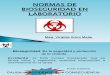 Normas de Bioseguridad en Laboratorio (1)