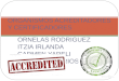 Organismos Acreditadores y Certificadores