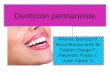 Seminario Morfologia Dental Dientes Permanentes