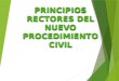 1.- Principios Rectores Del Nuevo Procedimiento Civil