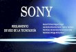 Reglamento Sony