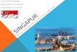 Singapur - Politica Comercial