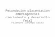 Fecundacion Placentacion Embriogenesis Crecimiento y Desarrollo Fetal