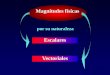 Material 03 - Magnitudes Físicas-Adición y Sustracción de Vectores