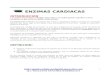 Enzimas Cardiacas II Ck Ckmb Tgo Ldh[1]