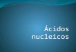 Acidos nucleicos profundizado