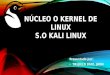 Nucleo o Kernel de Linux