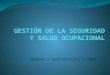 Gestión de La Seguridad y Salud Ocupacional Concordancias DS 005-2009.TR