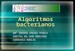 Algoritmos Bacterianos.ppt