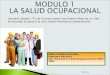 Mod. 1 Presentacion Salud Ocup p