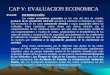 Cap v - Evaluación Económica (Sustentación de Tesis)