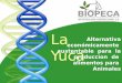 Yuca propuesta Agroindustrial BIOPE.ppsx