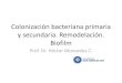 Clase 5.- Colonizacion Bacteriana Primaria y Secundaria. Biofilm