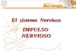 Impulso nervioso (2).ppt
