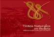 Tintes Naturales en Bolivia, Saberes Tradicionales Para El Futuro