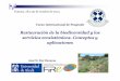 Restauración biodiversidad y servicios ecosistemas_Temuco_JMRB_2014.pdf