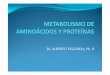 Metabolismo de Aminoácidos y Proteínaspdf