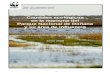 Caudales ecológicos en la marisma del Parque Nacional de Doñana y su área de influencia