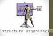 estructura organizacional