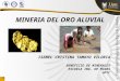 Exposicion Oro Aluvial