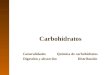 3. Carbohidratos