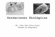 Oxidaciones Biológicas