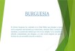 Burguesia Power Point