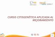 CITOGENÉTICA APLICADA AL MEJORAMIENTO Aspectos básicos de la Citogenética Ciclo celular Cromatina y cromosomas Cariotipoy Alteraciones cromosómicas