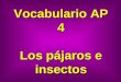 Vocabulario AP 4 Los pájaros e insectos. gaviota seagull
