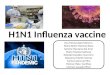 H1N1 Influenza vaccine Ana María López Moreno María Belén Moreno Risco Sandra Manzano del Amo María Macías Espinosa Soledad Llavador Guerrero Giovanna