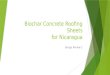 Biochar Concrete Roofing Sheets for Nicaragua Design Review 1