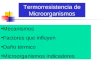 Mecanismos Factores que influyen Daño térmico Microorganismos indicadores Termorresistencia de Microorganismos