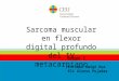Sarcoma muscular en flexor digital profundo del IV metacarpiano Enrique Amigó Rua Eli Alonso Pujadas Grupo 1
