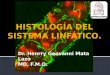 Dr. Henrry Geovanni Mata Lazo MD, F.M.O.. Se clasifican en 2 categorías. Órganos linfoides primarios (centrales) Desarrollo y maduración de linfocitos