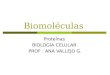 Biomoléculas Proteínas BIOLOGÍA CELULAR PROF : ANA VALLEJO G