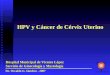 HPV y Cáncer de Cérvix Uterino Hospital Municipal de Vicente López Servicio de Ginecología y Mastología Dr. Osvaldo G. Sánchez - 2007