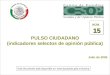 --1-- PULSO CIUDADANO (indicadores selectos de opinión pública) Julio de 2005 15 NÚM. 15 Este documento está disponible en: 