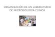 ORGANIZACIÓN DE UN LABORATORIO DE MICROBIOLOGÍA CLÍNICA